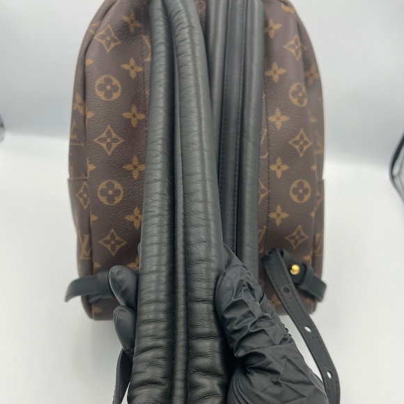 Louis Vuitton Plams Springs PM Backpack - Picture 12 of 16